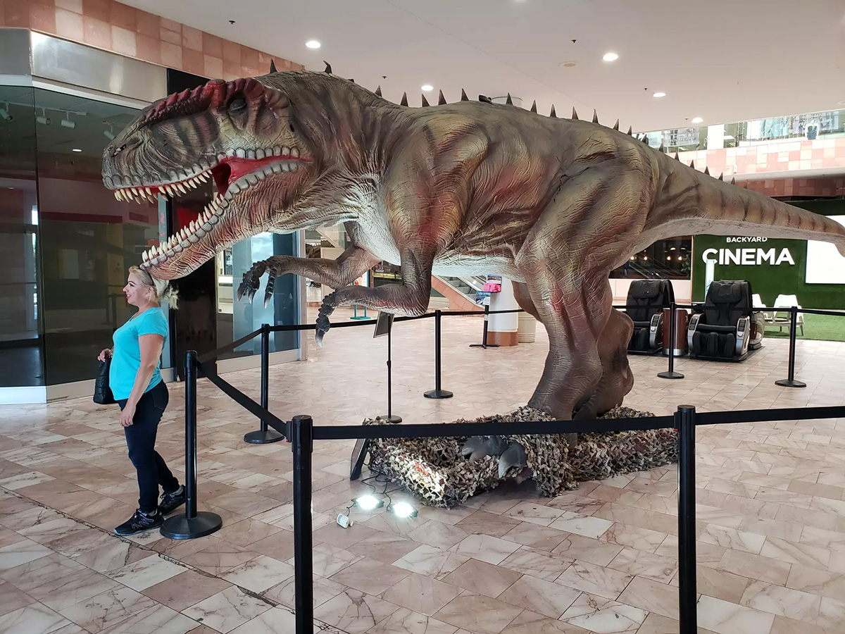 Giganotosaurus At Shopping Mall