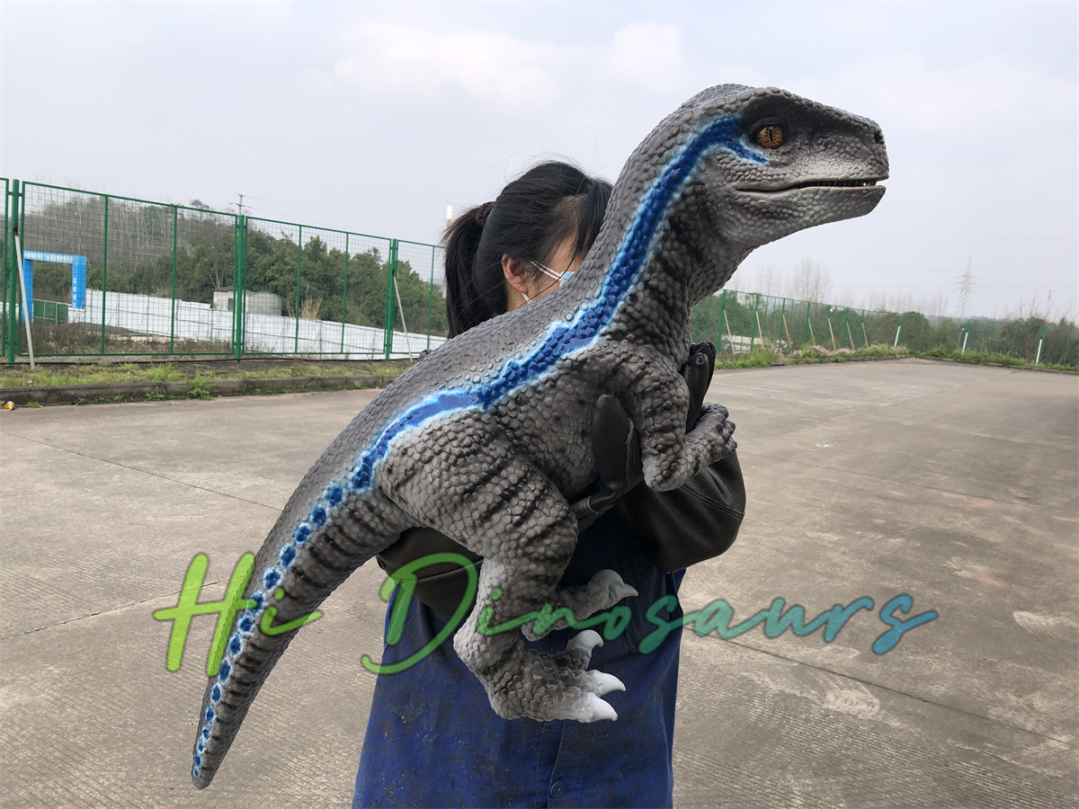 Lifelike velociraptor Puppet