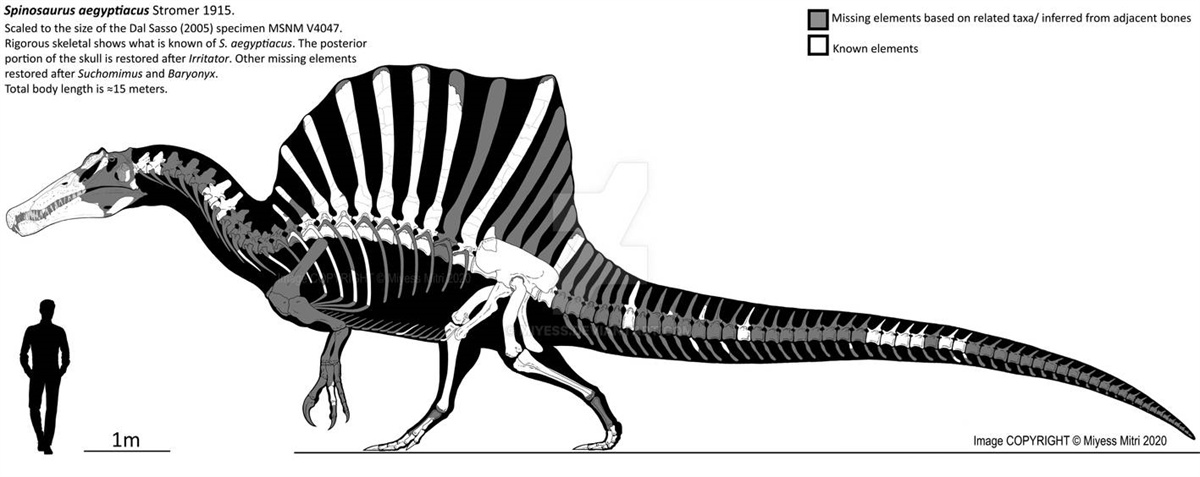 spinosaurus.jpg