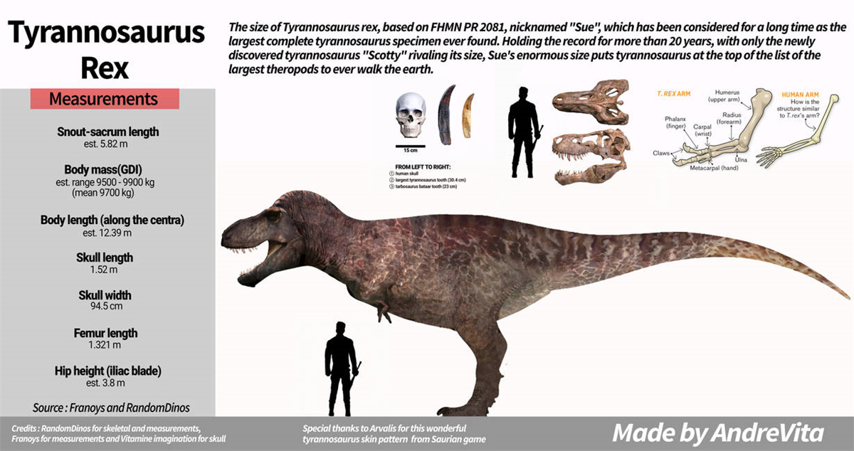 tyrannosaurus_rex.jpg