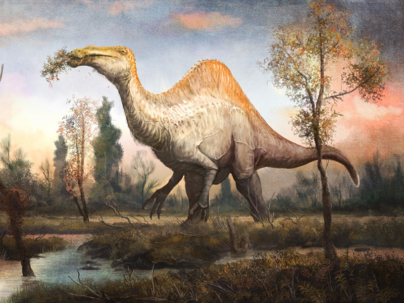 Deinocheirus