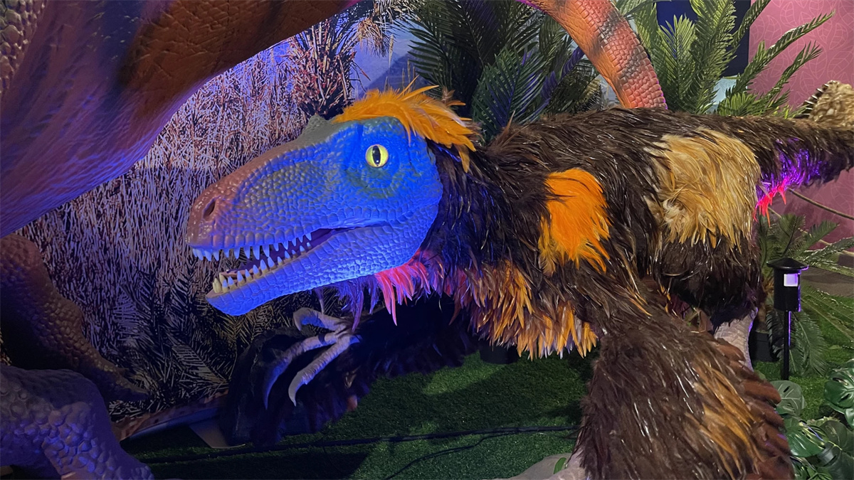 Feathered velociraptor
