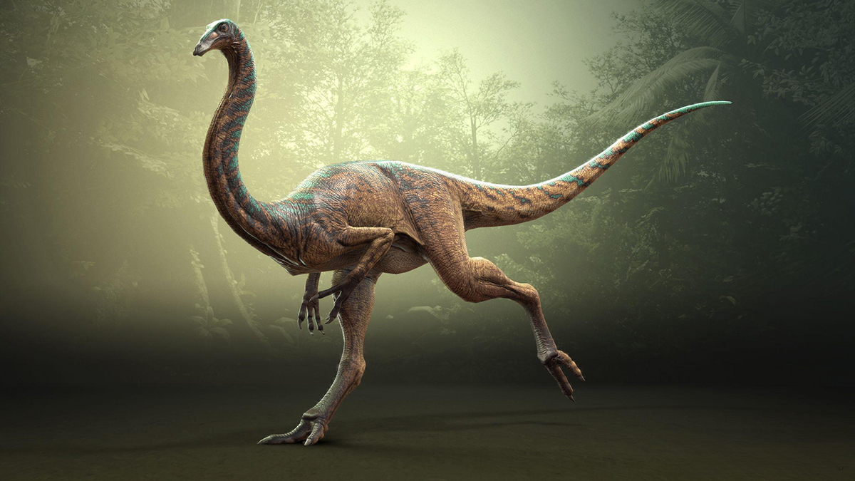 Gallimimus
