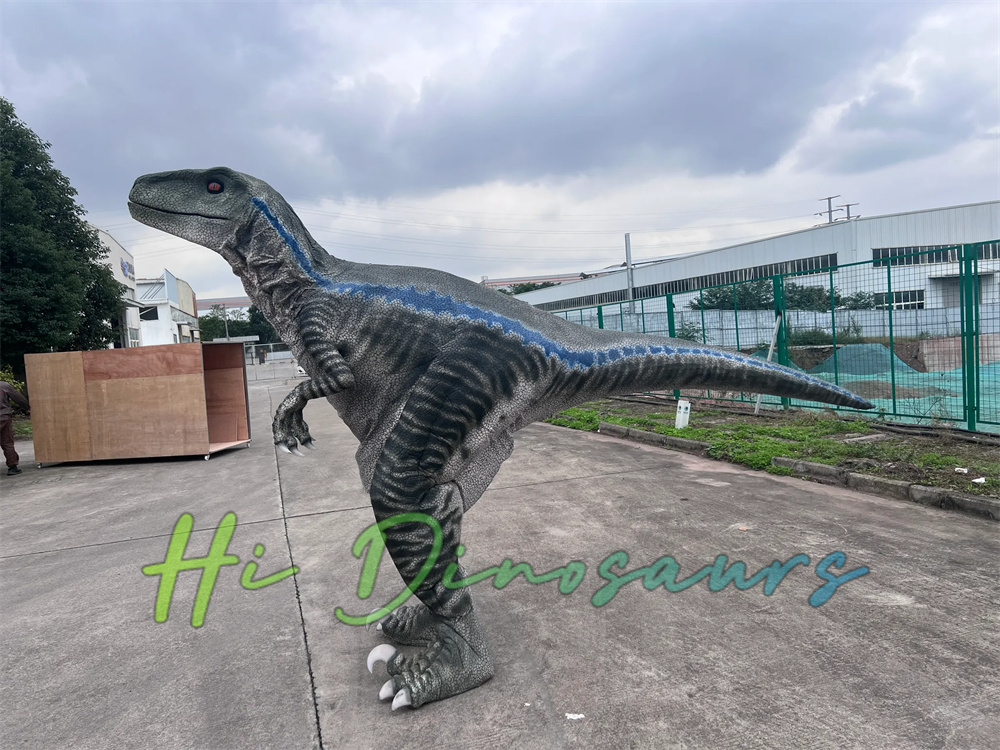 Gray Skin Blue Stripes Raptor Costume
