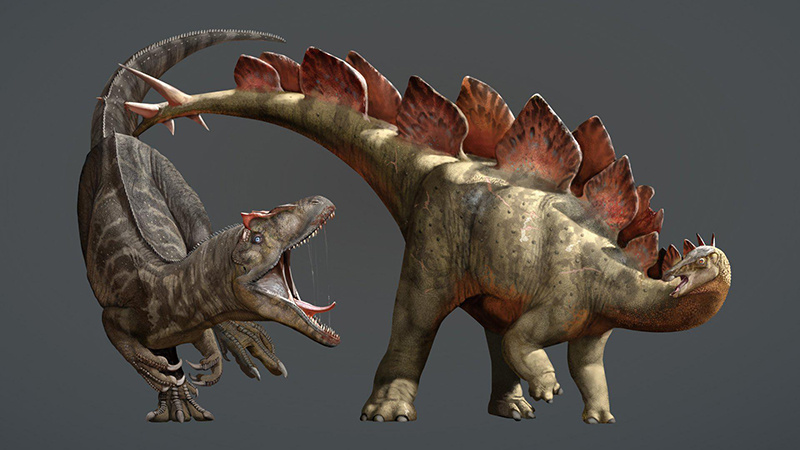 Stegosaurus