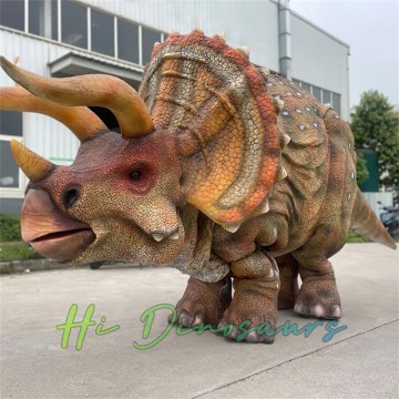 Riesiges Triceratops-Dinosaurierkostüm für Bühnenauftritte