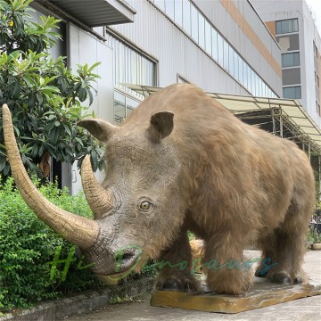 Realistic Animatronic Yünlü Kərgədan - Muzeylər və Sərgilər üçün mükəmməldir