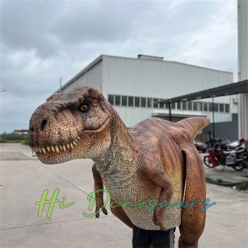 Görünən Ayaqları olan Şiddətli Yetkin T-Rex Halloween Geyimi