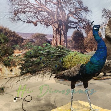 Neues Design Lebendige Tiere Animatronisches Pfauenmodell zu verkaufen