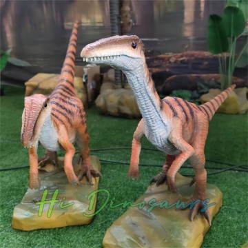 Múnla Coelophysis Animatronic do Thaispeántais Dineasár