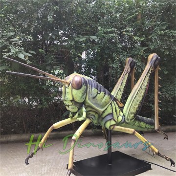 Nəhəng Böcək Animatronik Çəyirtkə Modeli