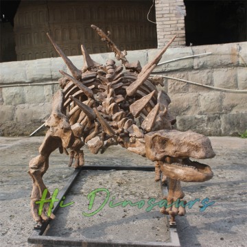 Echte Dinosaurierfossilien zu verkaufen, Antarctopelta-Replik