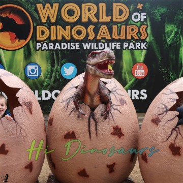 Jurassic World Dinosaurier-Eierschalen-Requisiten zu verkaufen