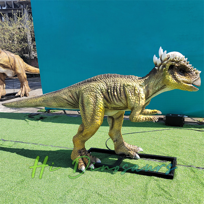Electric Juvenile Pachycephalosaurus For Dinosaur Show