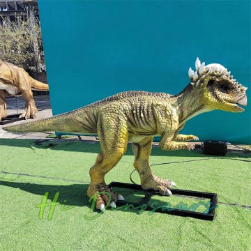 Pachycephalosaurus Óg Leictreach le haghaidh Seó Dineasár