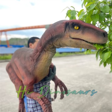 Lebendige Jurassic Raptor-Schulterpuppe für ein immersives Erlebnis