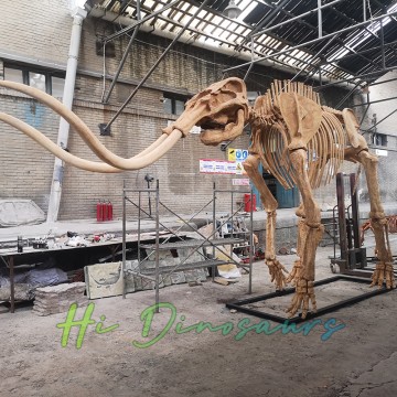 Nachbildung eines Mammutskeletts in Museumsqualität in Lebensgröße