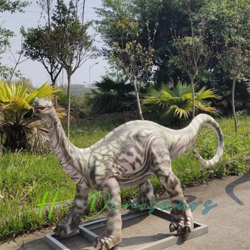 Həyat Ölçüsü Mussaurus Dinozavr Heykəli Satılır