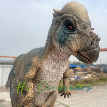 Impressive Pachycephalosaurus Dinosaur Costume