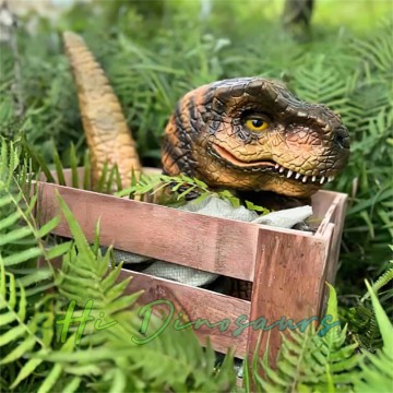 Realistische T-Rex-Babypuppe aus Kiste