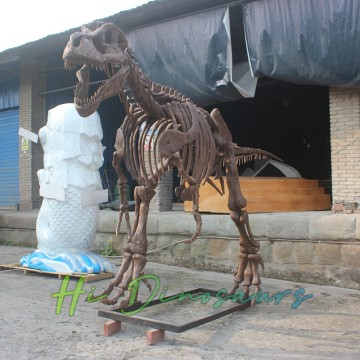 Realistic Bistahieversor Dinosaur Skeleton Models