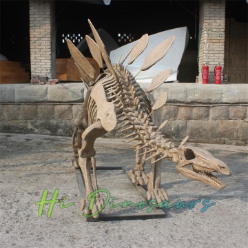 Replik eines Stegosaurus-Fossils in Originalgröße im Naturkundemuseum