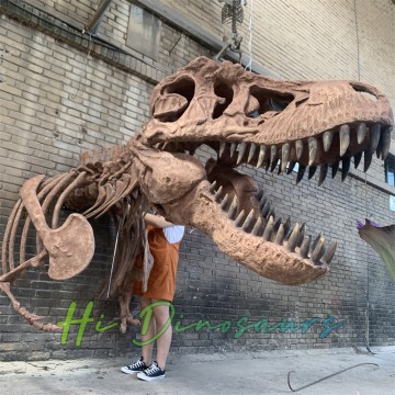 Restaurant Decoration Wall Mounted T-rex Skeleton