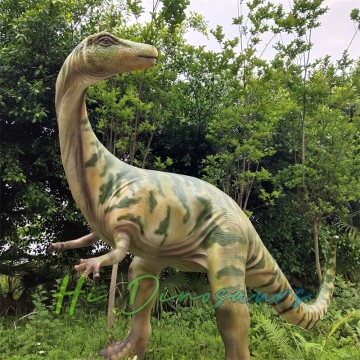 Fiberglass Lifelike Dinosaur Statue Ruehleia For Sale