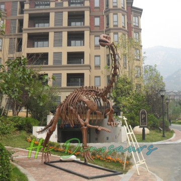Original-Replik des Lufengosaurus-Skelettmodells zu verkaufen