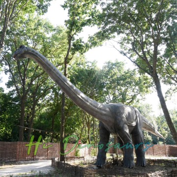 Realistic Animatronic Apatosaurus Dinosaur for Jurassic Park