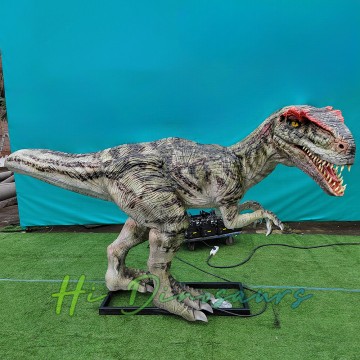 Allosaurus Animatronic scanrúil do Pháirc Jurassic