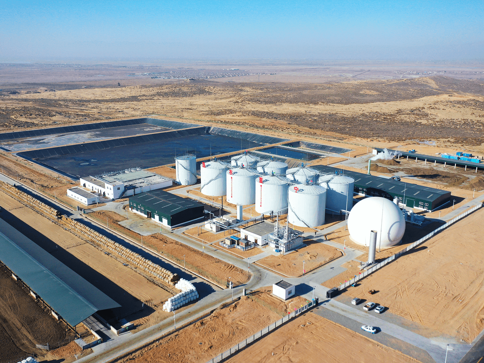 Pingluo, Ningxia | Liken Dairy Biogas Plant Project