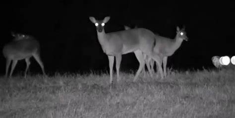 Future Development Trends of Night Vision Devices