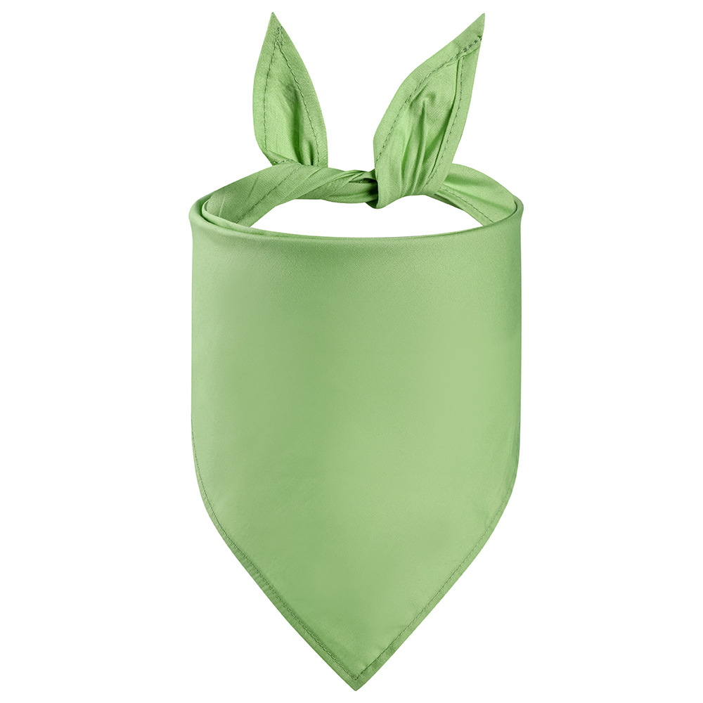 pet-bandana1vsm