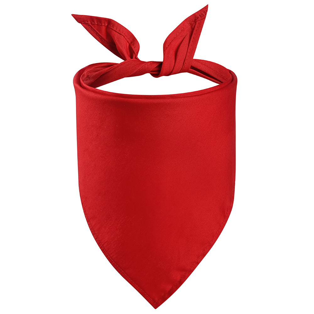 pet-bibs19l1