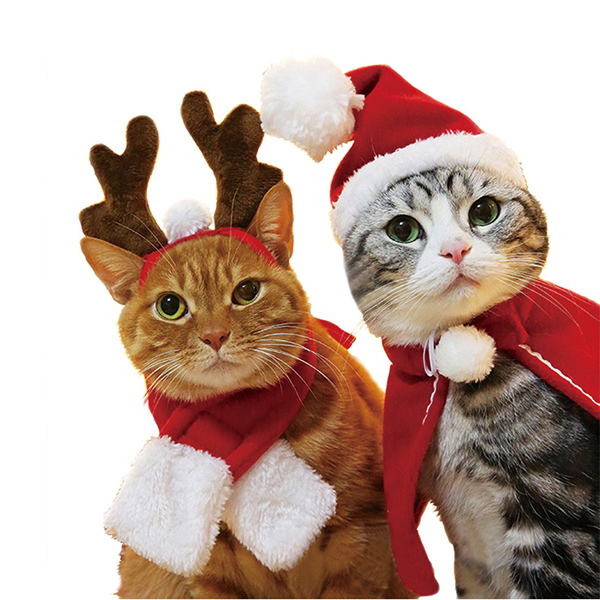 pet-hat-cuff-scarf-headbandsbo