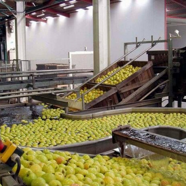 Food processing and medical equipment