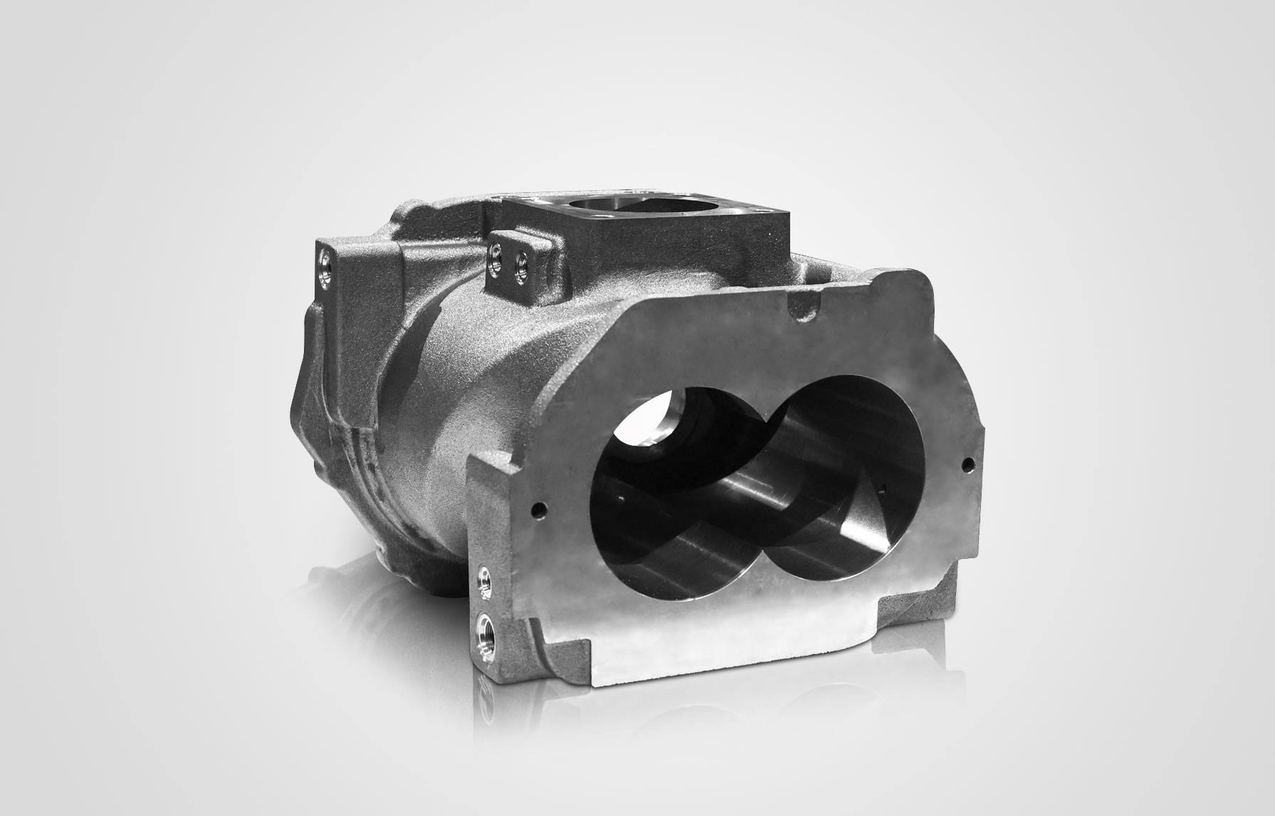 Cast Iron Housing