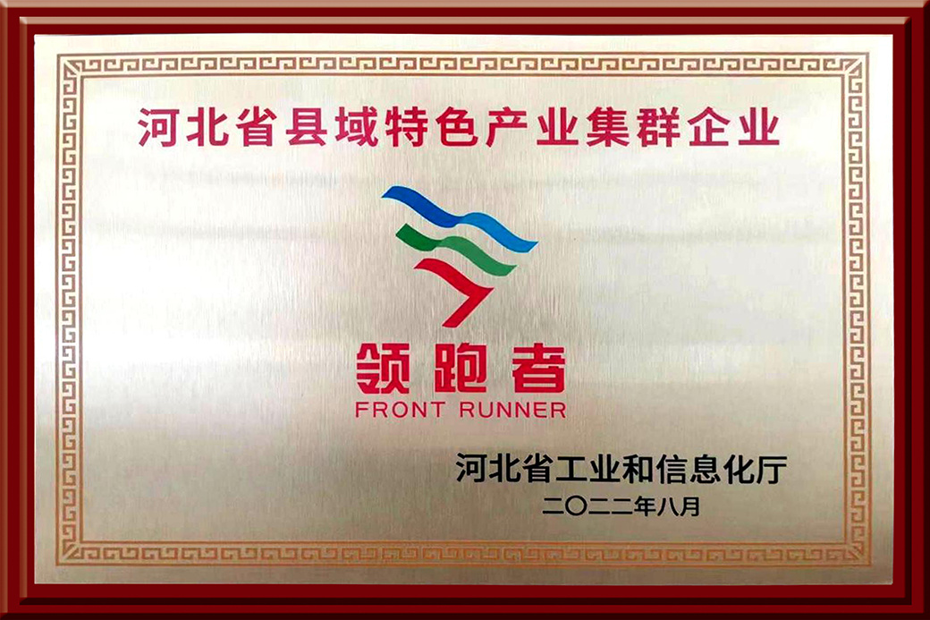 Hebei Province County Characteristic Industrial Cluster Enterprise Leader
