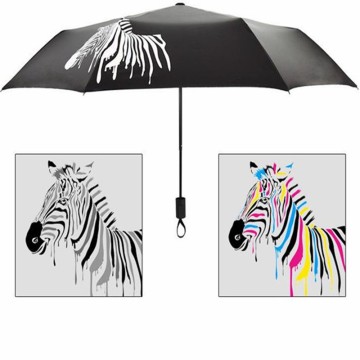 Hydrochromic Ink Color Change In Water