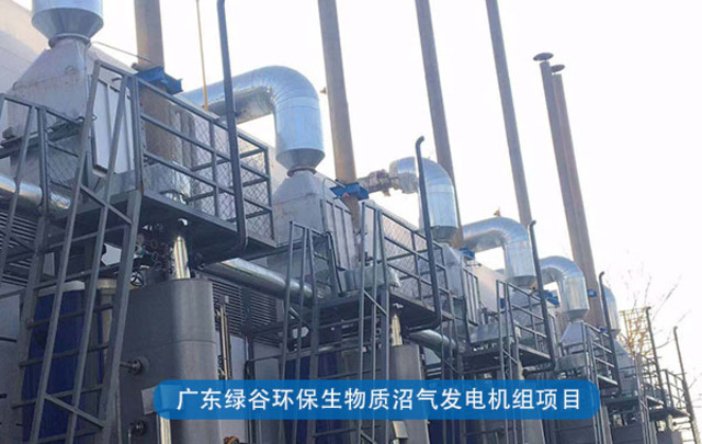 生物质沼气发电废气治理