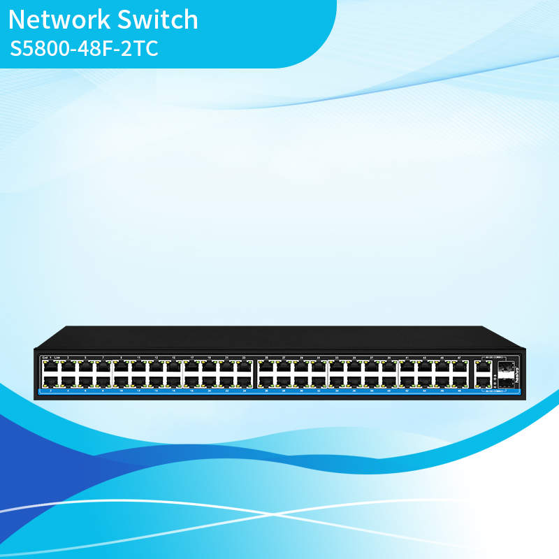 48+2 Fast Ethernet Switch
