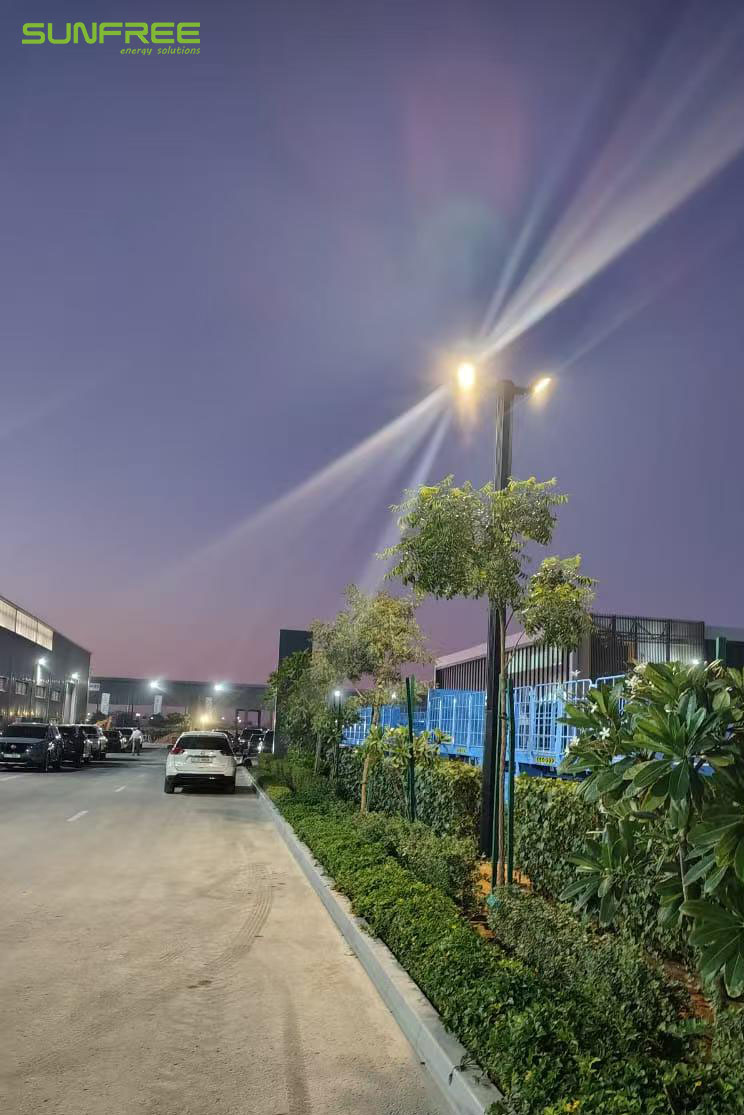 SUNFREE Vertical Solar Light-UAE Project1.jpg