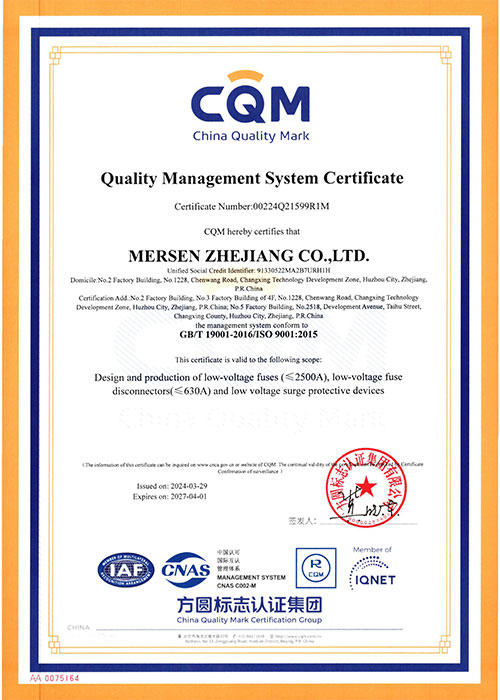 ISO-9001cd5