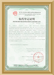 certificate (1)nly