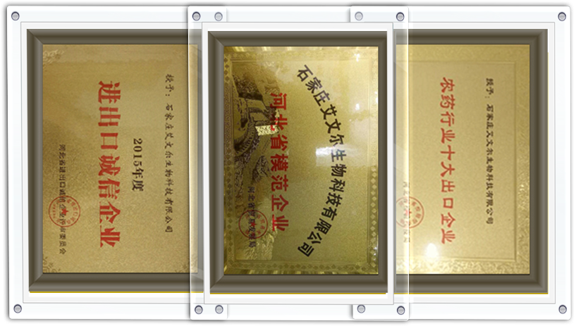 certificate-2rf9