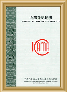 certificate (3)lge
