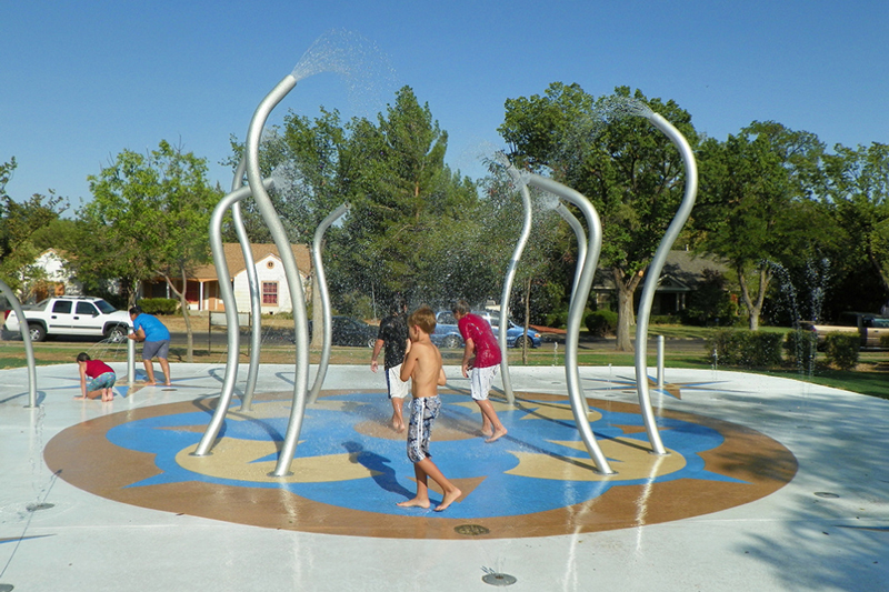sprayer-tree-pad1byj