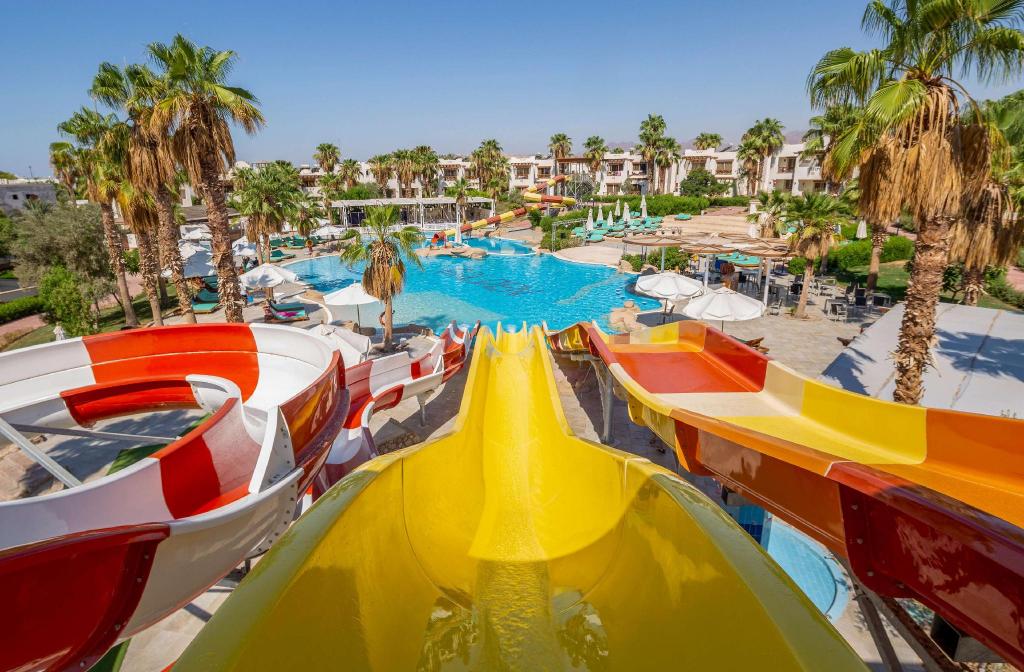 water slide parkjck
