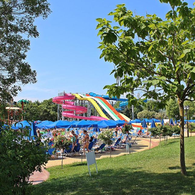 water slide-57